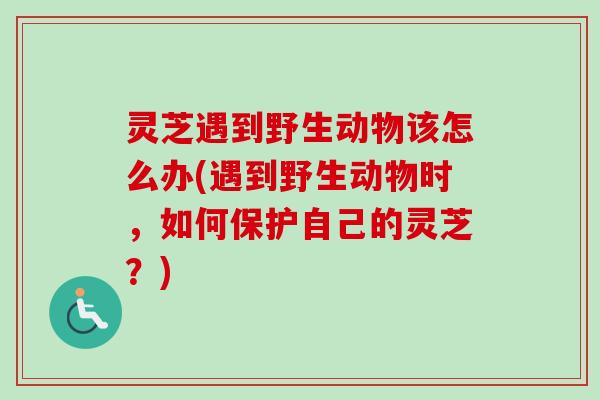 灵芝遇到野生动物该怎么办(遇到野生动物时，如何保护自己的灵芝？)