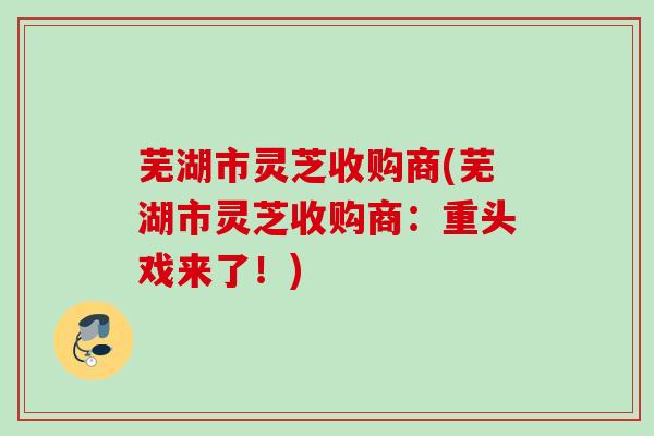 芜湖市灵芝收购商(芜湖市灵芝收购商:重头戏来了!) 芜湖市灵芝收购商(芜湖市灵芝收购商:重头戏来了!)