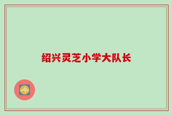 绍兴灵芝小学大队长