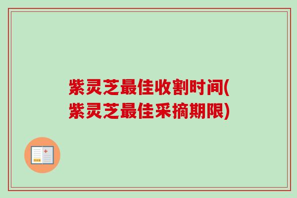 紫灵芝最佳收割时间(紫灵芝最佳采摘期限)