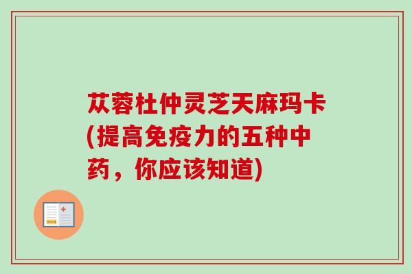 苁蓉杜仲灵芝天麻玛卡(提高免疫力的五种中药，你应该知道)