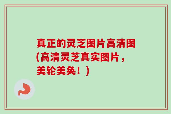 真正的灵芝图片高清图(高清灵芝真实图片，美轮美奂！)