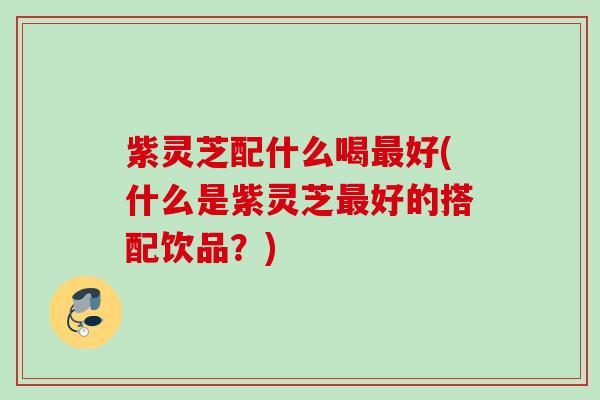 紫灵芝配什么喝最好(什么是紫灵芝最好的搭配饮品？)