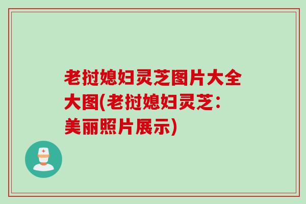 老挝媳妇灵芝图片大全大图(老挝媳妇灵芝：美丽照片展示)