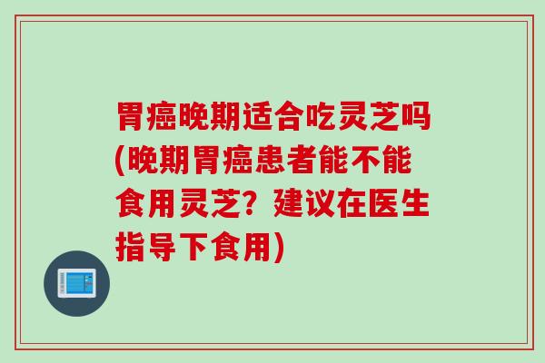 胃癌晚期适合吃灵芝吗(晚期胃癌患者能不能食用灵芝？建议在医生指导下食用)