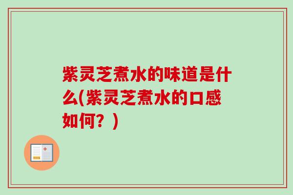 紫灵芝煮水的味道是什么(紫灵芝煮水的口感如何？)