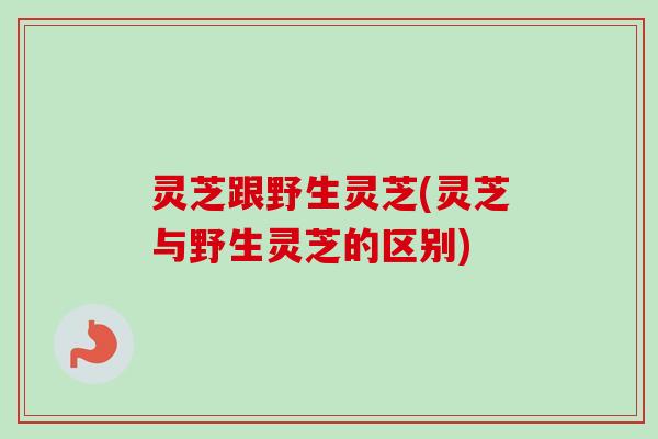 灵芝跟野生灵芝(灵芝与野生灵芝的区别)