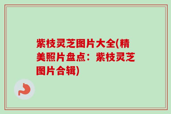 紫枝灵芝图片大全(精美照片盘点：紫枝灵芝图片合辑)