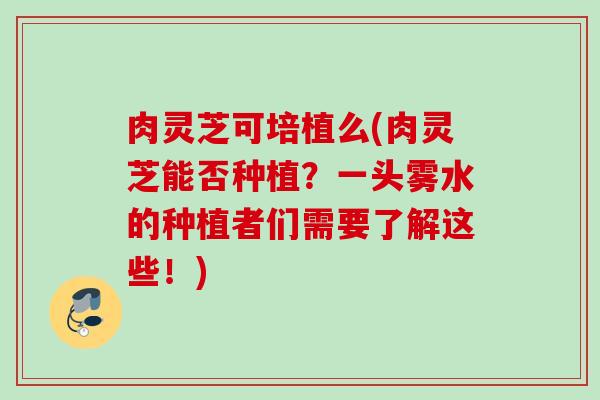 肉灵芝可培植么(肉灵芝能否种植？一头雾水的种植者们需要了解这些！)