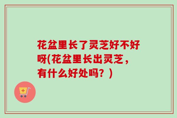 花盆里长了灵芝好不好呀(花盆里长出灵芝，有什么好处吗？)