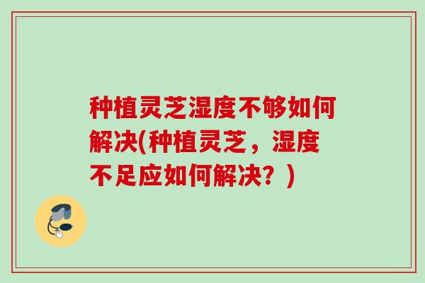 种植灵芝湿度不够如何解决(种植灵芝，湿度不足应如何解决？)