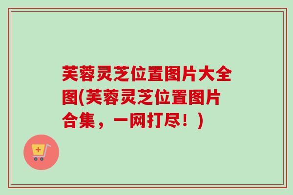 芙蓉灵芝位置图片大全图(芙蓉灵芝位置图片合集，一网打尽！)
