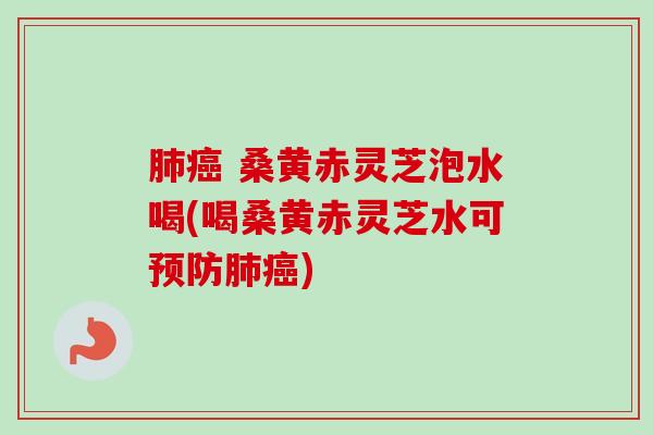 肺癌 桑黄赤灵芝泡水喝(喝桑黄赤灵芝水可预防肺癌)