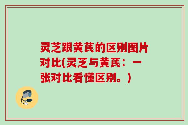 灵芝跟黄芪的区别图片对比(灵芝与黄芪：一张对比看懂区别。)