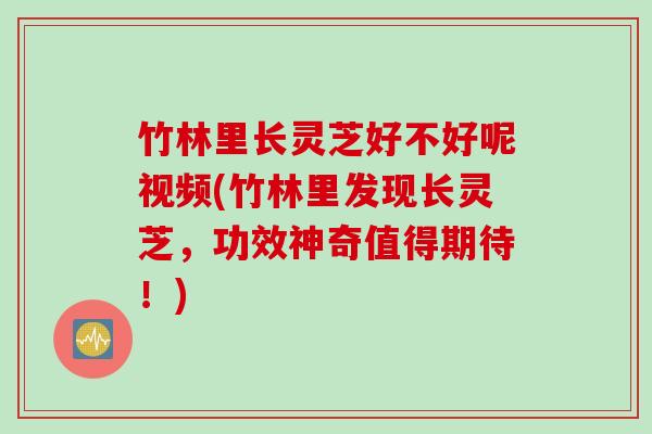 竹林里长灵芝好不好呢视频(竹林里发现长灵芝，功效神奇值得期待！)