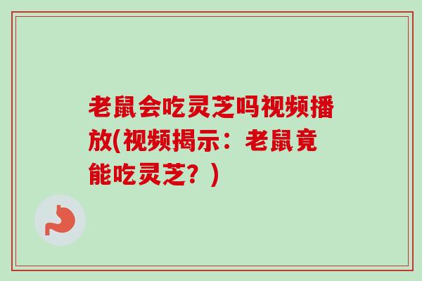 老鼠会吃灵芝吗视频播放(视频揭示：老鼠竟能吃灵芝？)