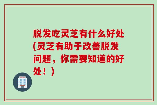 脱发吃灵芝有什么好处(灵芝有助于改善脱发问题，你需要知道的好处！)