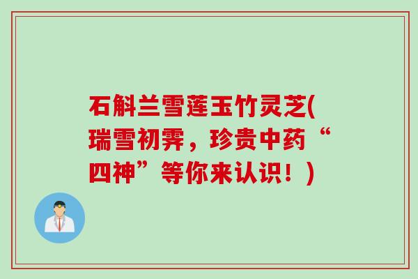 石斛兰雪莲玉竹灵芝(瑞雪初霁，珍贵中药“四神”等你来认识！)