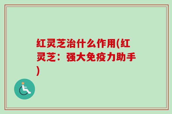 红灵芝治什么作用(红灵芝：强大免疫力助手)