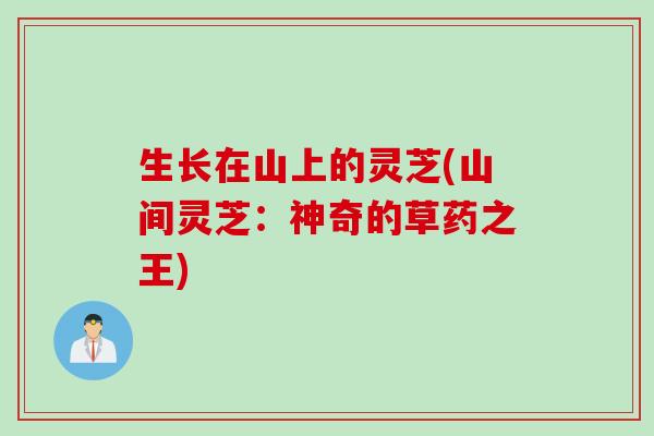生长在山上的灵芝(山间灵芝：神奇的草药之王)