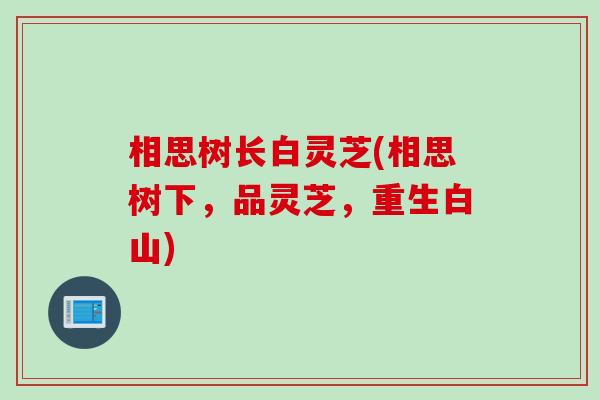 相思树长白灵芝(相思树下，品灵芝，重生白山)