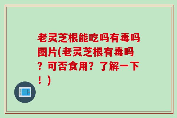 老灵芝根能吃吗有毒吗图片(老灵芝根有毒吗？可否食用？了解一下！)