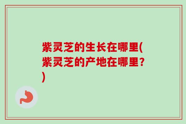 紫灵芝的生长在哪里(紫灵芝的产地在哪里？)