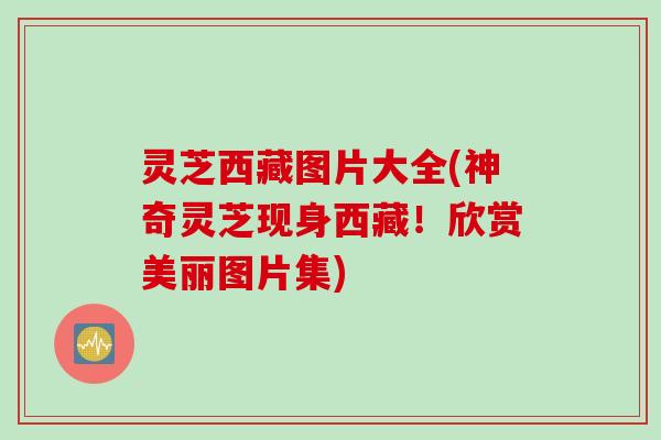 灵芝西藏图片大全(神奇灵芝现身西藏！欣赏美丽图片集)