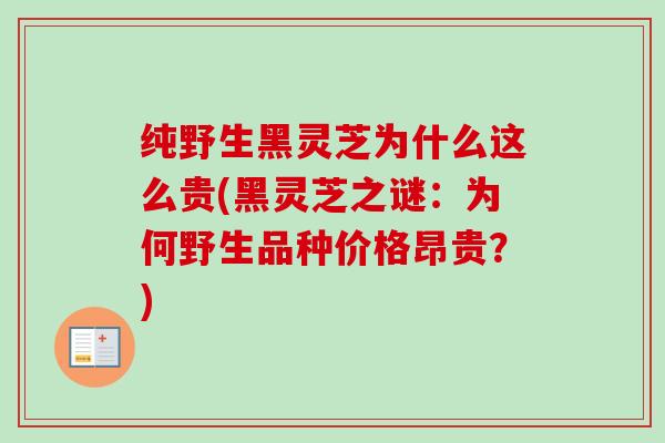 纯野生黑灵芝为什么这么贵(黑灵芝之谜：为何野生品种价格昂贵？)