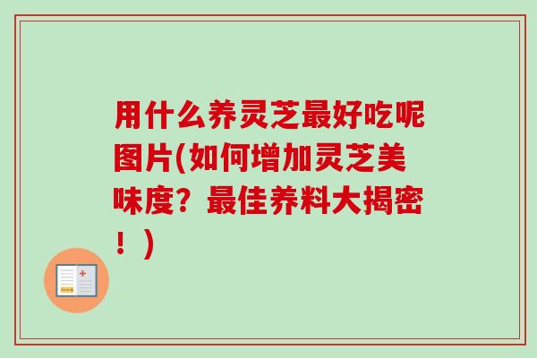 用什么养灵芝最好吃呢图片(如何增加灵芝美味度？最佳养料大揭密！)