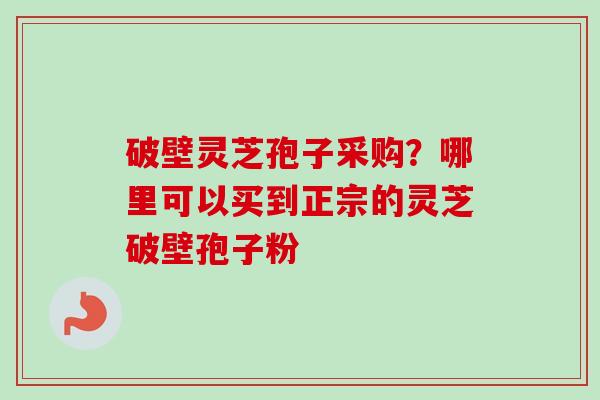 破壁灵芝孢子采购？哪里可以买到正宗的灵芝破壁孢子粉