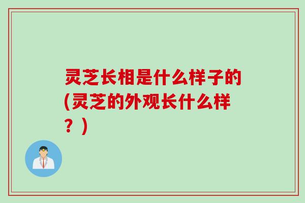 灵芝长相是什么样子的(灵芝的外观长什么样？)
