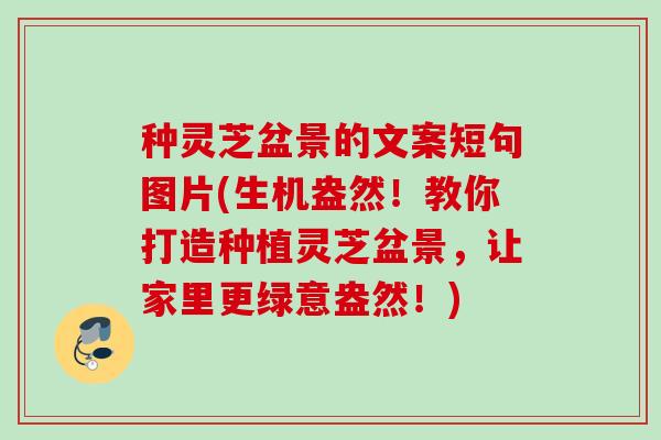 种灵芝盆景的文案短句图片(生机盎然！教你打造种植灵芝盆景，让家里更绿意盎然！)