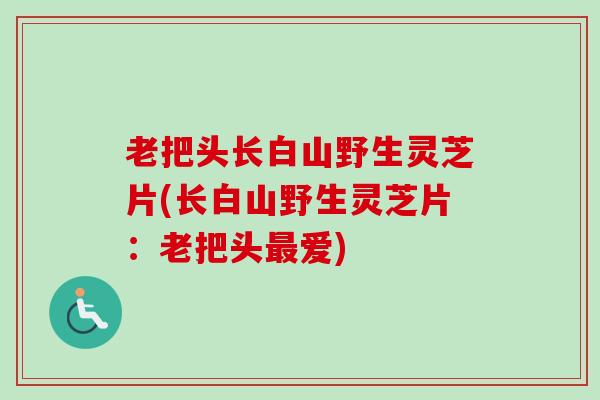 老把头长白山野生灵芝片(长白山野生灵芝片：老把头最爱)