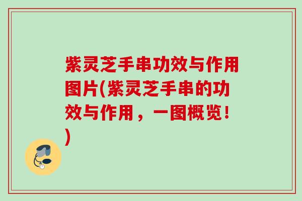 紫灵芝手串功效与作用图片(紫灵芝手串的功效与作用,一图概览!) 紫灵芝手串功效与作用图片(紫灵芝手串的功效与作用,一图概览!)