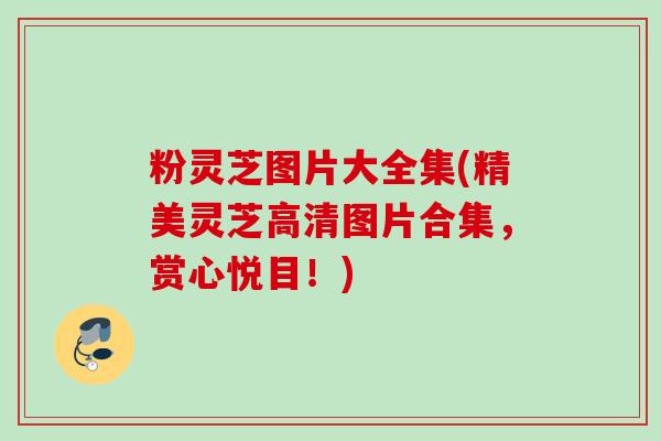 粉灵芝图片大全集(精美灵芝高清图片合集，赏心悦目！)