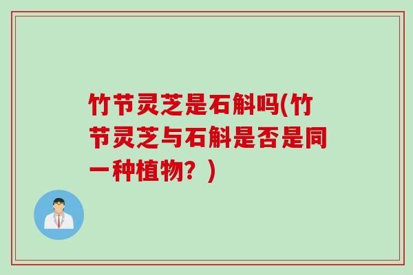 竹节灵芝是石斛吗(竹节灵芝与石斛是否是同一种植物？)