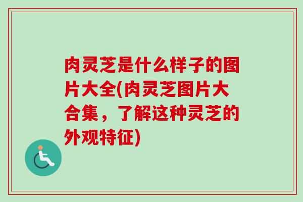 肉灵芝是什么样子的图片大全(肉灵芝图片大合集，了解这种灵芝的外观特征)