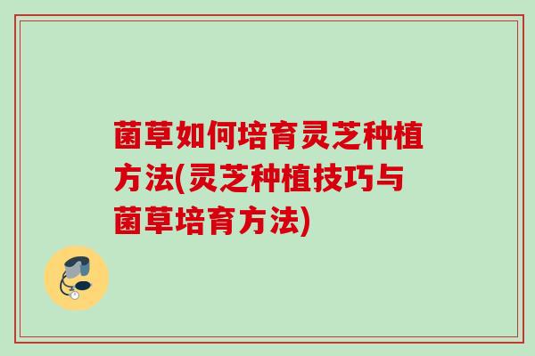 菌草如何培育灵芝种植方法(灵芝种植技巧与菌草培育方法)