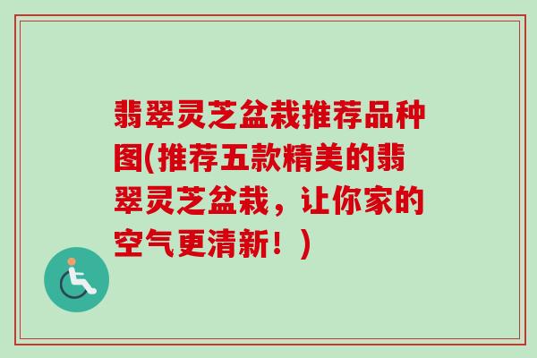 翡翠灵芝盆栽推荐品种图(推荐五款精美的翡翠灵芝盆栽，让你家的空气更清新！)