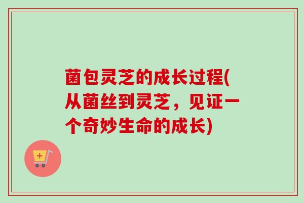 菌包灵芝的成长过程(从菌丝到灵芝,见证一个奇妙生命的成长) 菌包灵芝的成长过程(从菌丝到灵芝,见证一个奇妙生命的成长)