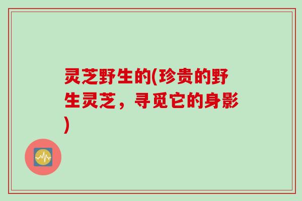 灵芝野生的(珍贵的野生灵芝，寻觅它的身影)