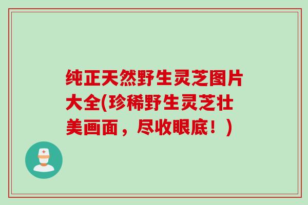纯正天然野生灵芝图片大全(珍稀野生灵芝壮美画面，尽收眼底！)