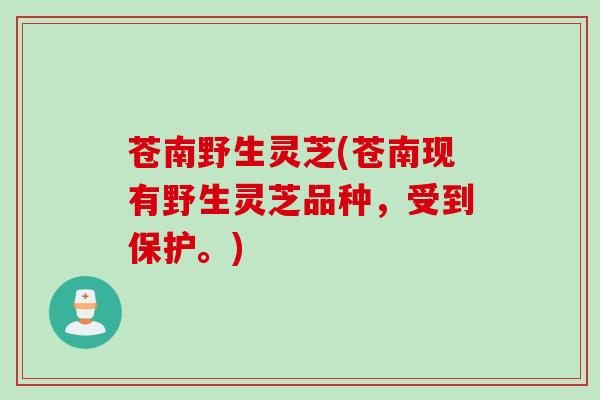 苍南野生灵芝(苍南现有野生灵芝品种，受到保护。)