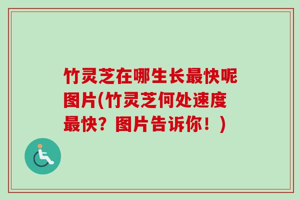 竹灵芝在哪生长最快呢图片(竹灵芝何处速度最快？图片告诉你！)