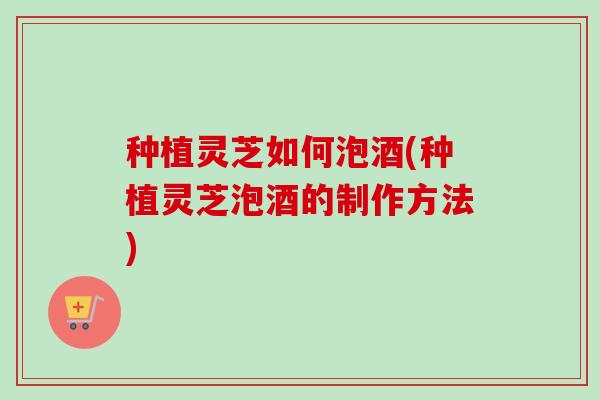 种植灵芝如何泡酒(种植灵芝泡酒的制作方法)