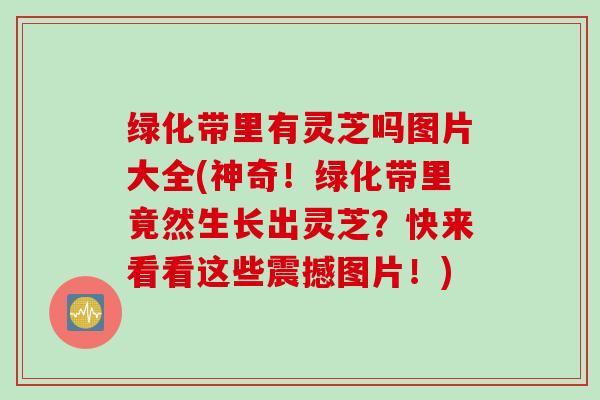 绿化带里有灵芝吗图片大全(神奇！绿化带里竟然生长出灵芝？快来看看这些震撼图片！)