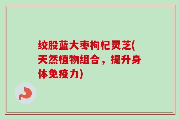 绞股蓝大枣枸杞灵芝(天然植物组合，提升身体免疫力)