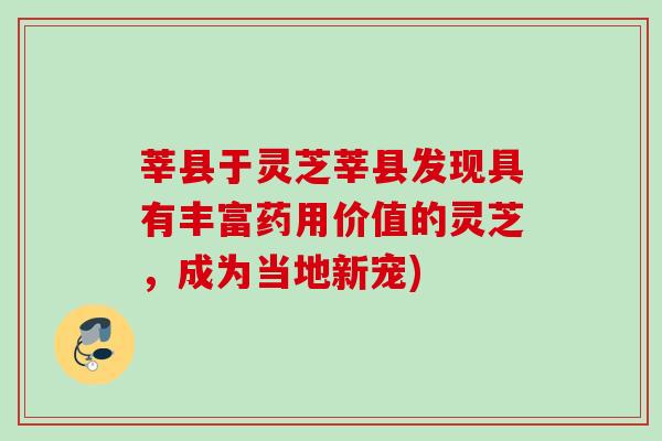 莘县于灵芝莘县发现具有丰富药用价值的灵芝，成为当地新宠)