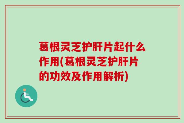 葛根灵芝片起什么作用(葛根灵芝片的功效及作用解析)
